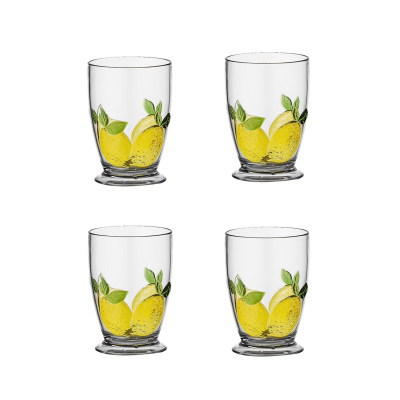 Limora Akrilik 475 ML 4’lü Bardak Seti