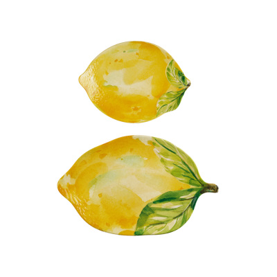 Limora Melamin 2’li Limon Formlu Sunumluk