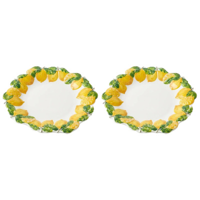 Limora Melamin 30 cm 2'li Tabak Seti