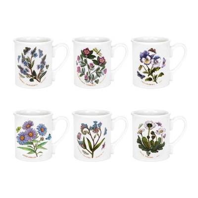 Portmeirion Botanic Garden 6'lı Kahvaltı Kupası Seti 270 ml