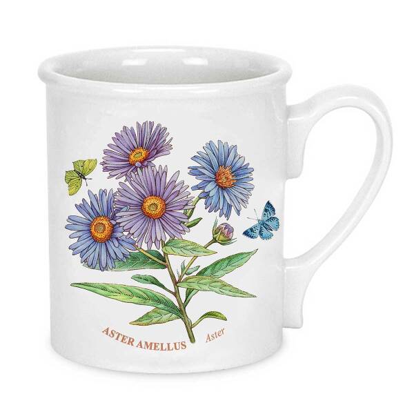 Portmeirion Botanic Garden 6'lı Kahvaltı Kupası Seti 270 ml - 2
