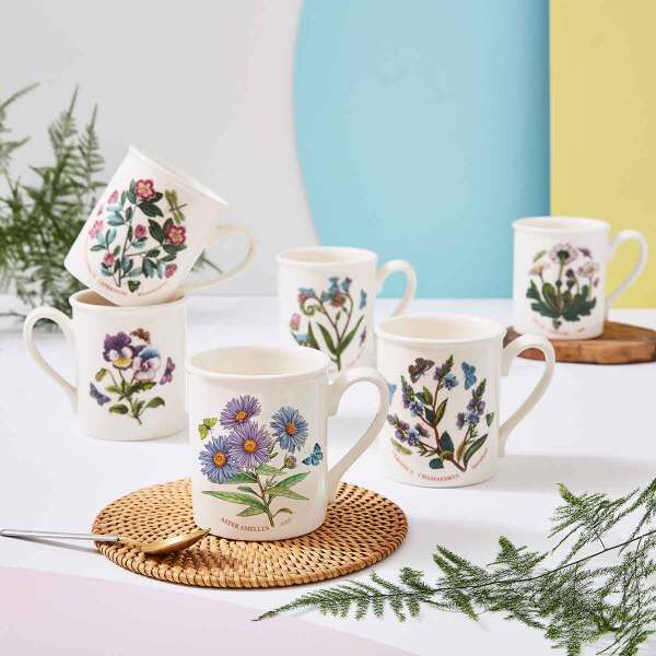 Portmeirion Botanic Garden 6'lı Kahvaltı Kupası Seti 270 ml - 3