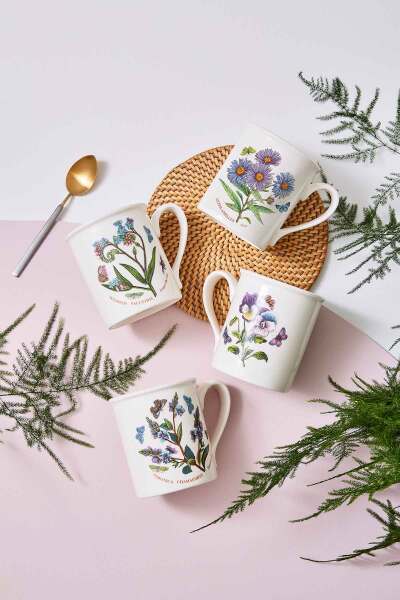 Portmeirion Botanic Garden 6'lı Kahvaltı Kupası Seti 270 ml - 5