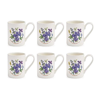 Portmeirion Botanic Garden 6'lı Larkspur Kupa Seti 300 ml