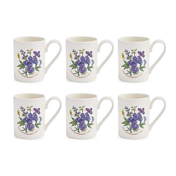 Portmeirion Botanic Garden 6'lı Larkspur Kupa Seti 300 ml - 1