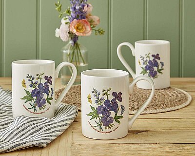 Portmeirion Botanic Garden 6'lı Larkspur Kupa Seti 300 ml (1)