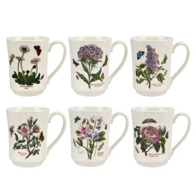 Portmeirion Botanic Garden 6'lı Tankard Kupa Seti 420 ml
