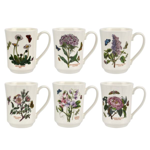 Portmeirion Botanic Garden 6'lı Tankard Kupa Seti 420 ml - 1