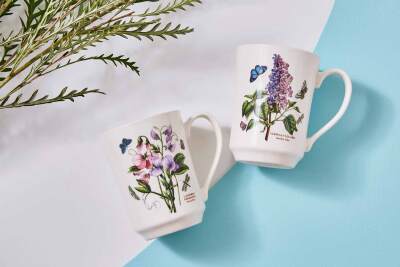 Portmeirion Botanic Garden 6'lı Tankard Kupa Seti 420 ml (1)
