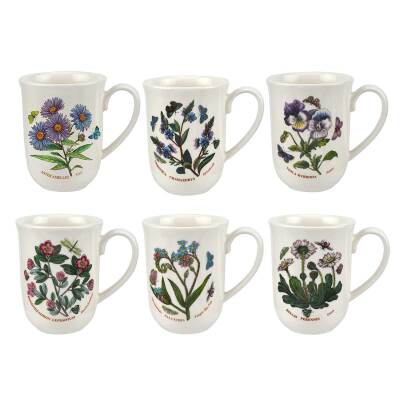 Portmeirion Botanic Garden 6'lı Tulip Kupa Seti 340 ml