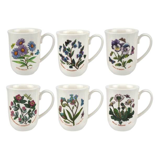 Portmeirion Botanic Garden 6'lı Tulip Kupa Seti 340 ml - 1