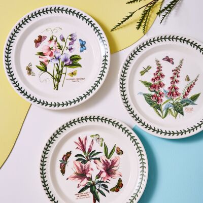 Portmeirion Botanic Garden 6'lı Yemek Tabağı Seti 26 cm (1)