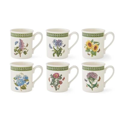 Portmeirion Botanic Garden Etchings 6'lı Kahvaltı Kupa Seti 260 ml