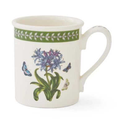 Portmeirion Botanic Garden Etchings 6'lı Kahvaltı Kupa Seti 260 ml - 3