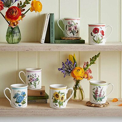 Portmeirion Botanic Garden Meadow 6'lı Kahvaltı Kupası Seti 260 ml (1)