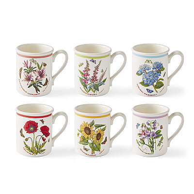 Portmeirion Botanic Garden Meadow 6'lı Kahvaltı Kupası Seti 260 ml