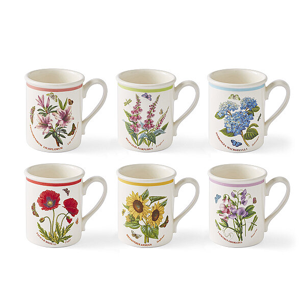 Portmeirion Botanic Garden Meadow 6'lı Kahvaltı Kupası Seti 260 ml - 1