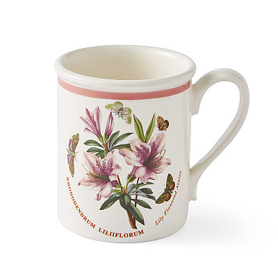 Portmeirion Botanic Garden Meadow 6'lı Kahvaltı Kupası Seti 260 ml - 6