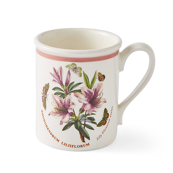 Portmeirion Botanic Garden Meadow 6'lı Kahvaltı Kupası Seti 260 ml - 6