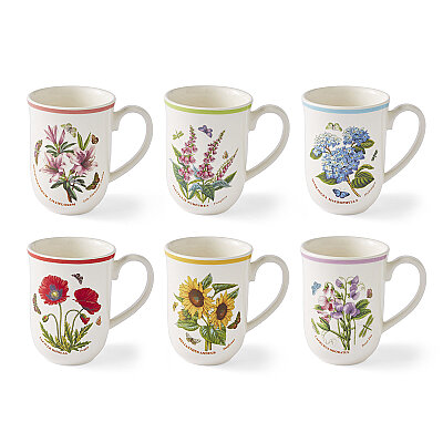 Portmeirion Botanic Garden Meadow 6'lı Tulip Kupa Seti 340 ml