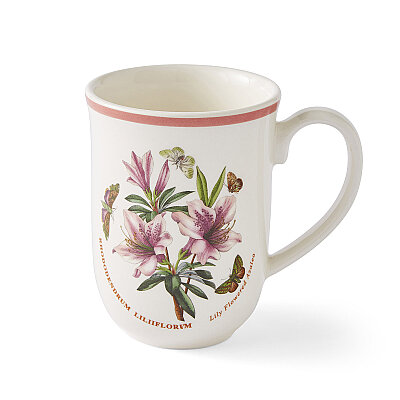 Portmeirion Botanic Garden Meadow 6'lı Tulip Kupa Seti 340 ml - 4