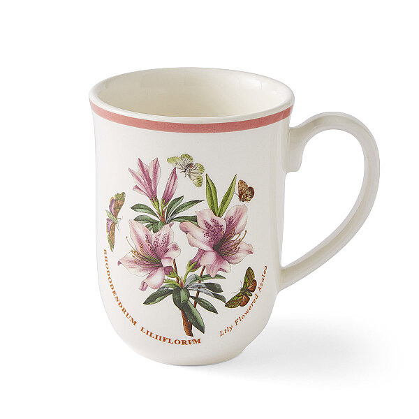 Portmeirion Botanic Garden Meadow 6'lı Tulip Kupa Seti 340 ml - 4