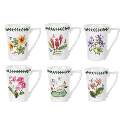 Portmeirion Exotic Botanic Garden 6'lı Kupa Seti 280 ml