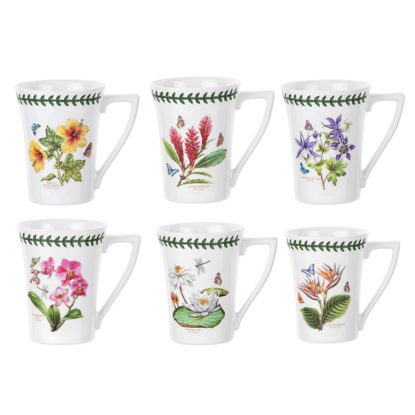 Portmeirion Exotic Botanic Garden 6'lı Kupa Seti 280 ml - 1