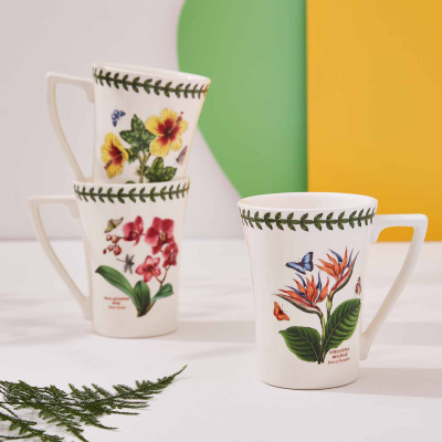 Portmeirion Exotic Botanic Garden 6'lı Kupa Seti 280 ml - 3