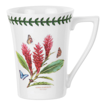 Portmeirion Exotic Botanic Garden 6'lı Kupa Seti 280 ml - 5