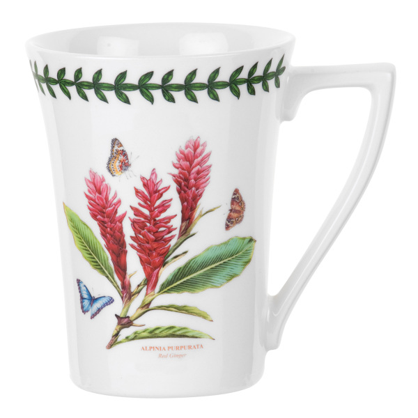 Portmeirion Exotic Botanic Garden 6'lı Kupa Seti 280 ml - 5