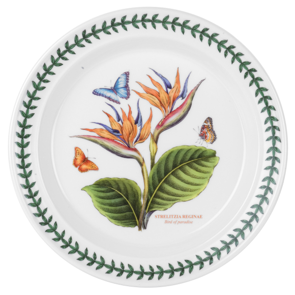 Portmeirion Exotic Botanic Garden 6'lı Yemek Tabağı Seti 26 cm - 5