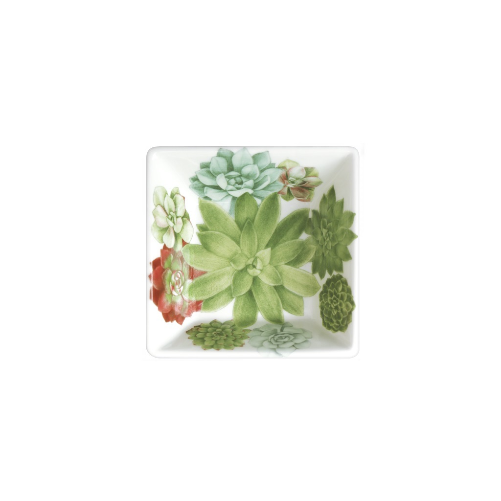 Taitu Desert Rose Fine Bone 10Cm Kare Kase - 2