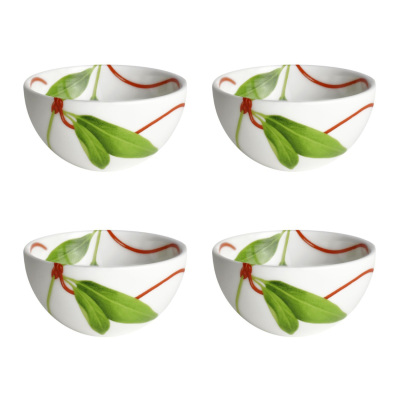 Taitu Fil Rouge Foglie Fine Bone 7Cm Kase Seti
