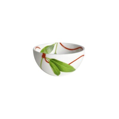 Taitu Fil Rouge Foglie Fine Bone 7Cm Kase Seti (1)