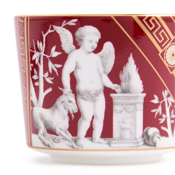 Wedgwood Renaissance Fine Bone Red Mix Çay Fincanı ve Tabağı 220 ml - 4
