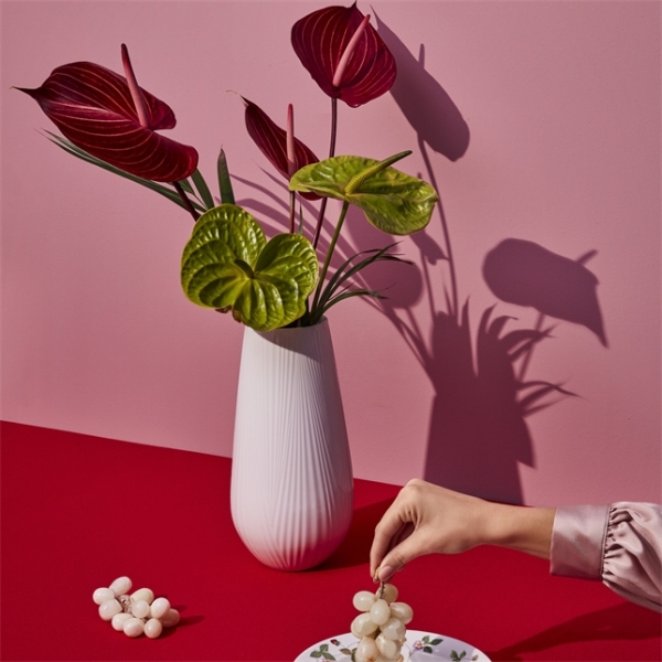 Wedgwood White Folia Vazo 30 cm - 6